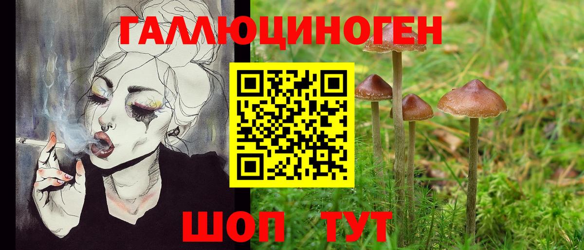 Галлюциногенные грибы GOLDEN TEACHER Михайловка